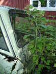 DSC02390.JPG