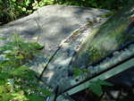DSC02392.JPG