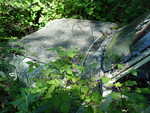 DSC02393.JPG