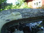 DSC02394.JPG