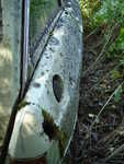 DSC02396.JPG