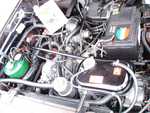 DSC02447.JPG