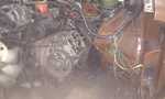 Am�lie V�ren 2011. Ny topp satt inn (1130)