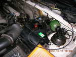 DSCN0875