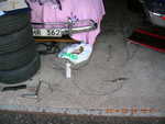 DSCN1631
