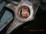 DSCN1979