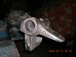 DSCN1988