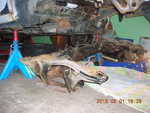 DSCN2288