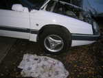 DSCN2438