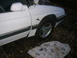DSCN2439