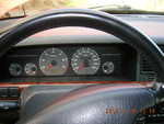 DSCN0984