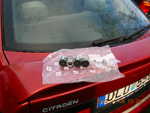 DSCN0985