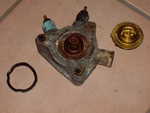 IMGP5802