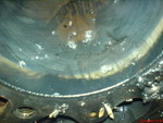 DSC00284