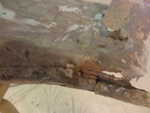 IMG 0023[1]