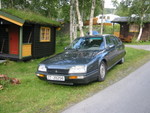 IMG 0007